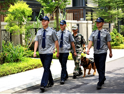 警犬長(zhǎng)期派駐服務(wù)